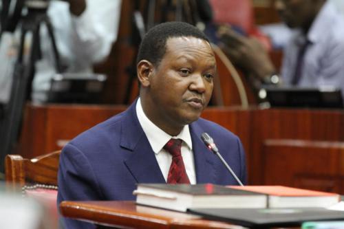 Foreign Affairs CS Alfred Mutua: We Shall Help Turkey With Coffee, Tea, Groundnuts
