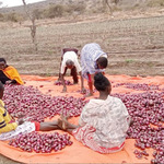 Food Prices Among Them Sugar, Eggs, Onions To Rise – Survey