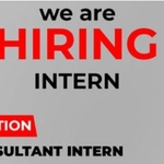 Internship Opportunity Open At AIMO Travel