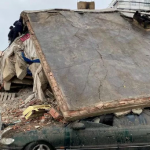 Turkey Earthquake: Screaming, Shaking... How It Felt When Quake Hit
