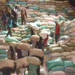 State Seeks Revamp Of Trading Firm To Stabilise Food Imports