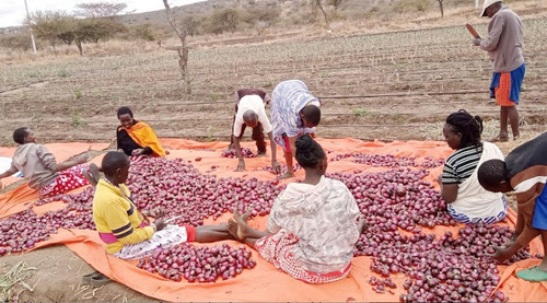 Food Prices Among Them Sugar, Eggs, Onions To Rise – Survey