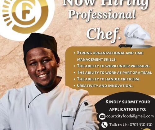 Professional Chef Needed