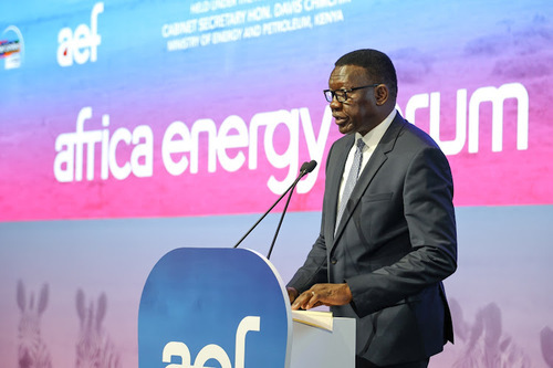Africa's Green Energy Transition Beeds $100Bn Annually