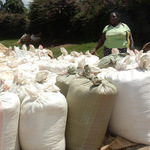 Flour Prices To Drop With Expected Harvest Of 61m Bags - CS Kuria