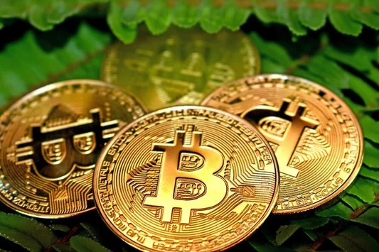 Bitcoin Price Fall Signals Reality Check After Record Optimism