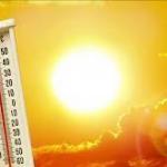 Heatwave Kills Eight In South Africa: Government