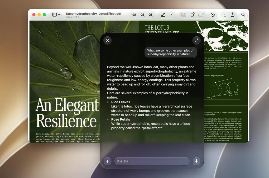 RemoveMacAI: Open-Source Tool Deletes 12GB Apple Intelligence Data