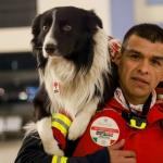 Mexico Sends Its Beloved Dog Search And Rescue Teams To Turkey