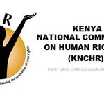 KNCHR Hiring Assistant Planning Monitoring And Evaluation Officer – Salary: Kshs. 64,614 P.m