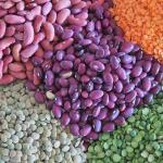 Pulse Keeps The Pulse Beating: Why Pulses Are Important.
