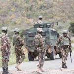 Cattle Rustling Will Be Treated As An Act Of Terror, Kindiki Cautions