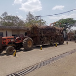 Ruto's Government Gets Free Hand To Sell State Agencies