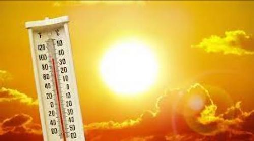 Heatwave Kills Eight In South Africa: Government
