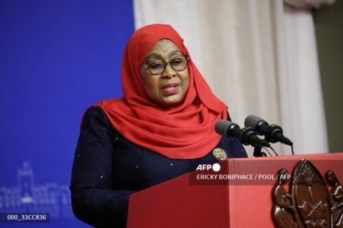 Rights Groups Urge Tanzania To Free Critics Of UAE Port Deal