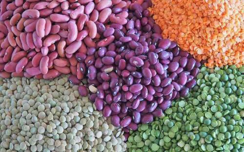 Pulse Keeps The Pulse Beating: Why Pulses Are Important.