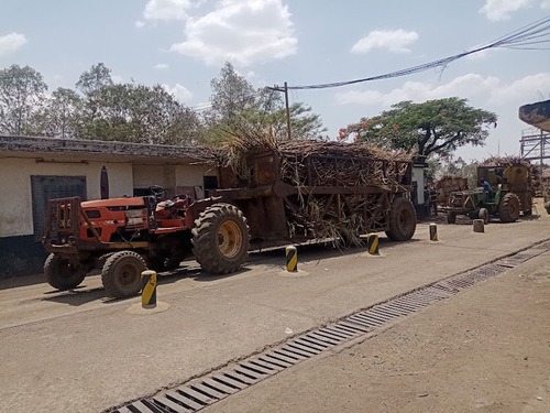 Ruto's Government Gets Free Hand To Sell State Agencies