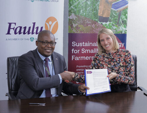 Faulu, GIZ Target Smallholder Farmers With Green Financing