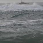 14 Migrants Drown Off Tunisia After Wave Of Racist Violence