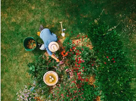 How To Tend Your Workplace Culture Like A Living Ecosystem
