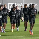 Napoli Don't Play Like An Italian Team, Says Frankfurt Coach