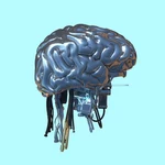 Anthropic Bans Cruel Behavior Toward Claude in Policy Update