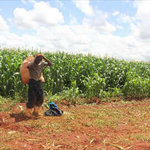 The Rains Are Here, Lets Reimagine Food Production For Growth