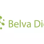 Belva Digital Vacancies 2026