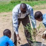 Kenyan Company To Honour Wangari Maathai’s Legacy In Record-Breaking Tree Plantation