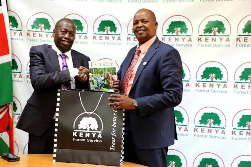 Kenya Forest Service To Focus On Increasing Tree Cover