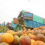Mango Farmers To Benefit From A New Contract With Two Leading Buyers