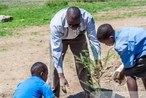 Kenyan Company To Honour Wangari Maathai’s Legacy In Record-Breaking Tree Plantation