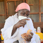 Six Tips For Chicken Vaccination To Work