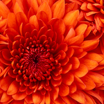 Test title