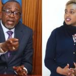 CS Linturi Gets Green Light To Evict MP Marianne Kitany From Runda Home
