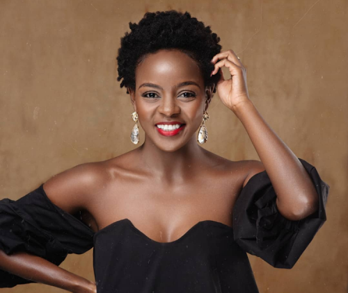 How To Do Mini Twists On Natural Hair