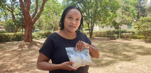Development Partners Support The Fight Against Aflatoxins