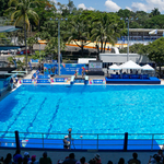 Kenya Says World Aquatics Has Lifted Swimming Ban