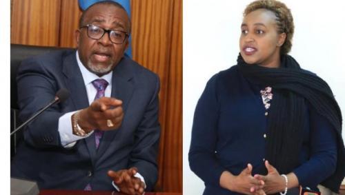 CS Linturi Gets Green Light To Evict MP Marianne Kitany From Runda Home