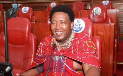 MPs May Shoot Down Budget Over NG-CDF Saga – Ledama