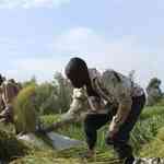 Forum Calls For Collaboration To Up Food Safety