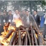 Vietnam Seizes 600 Kg Of Ivory Smuggled From Africa