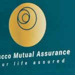 KUSCCO Mutual Assurance Hiring Assistant Business Development Officer