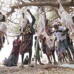Innovative Ideas Needed To Address Challenges In Asal Areas – Lobby