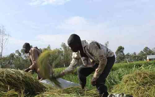 Forum Calls For Collaboration To Up Food Safety