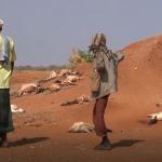 Kenya Gets Sh17bn World Bank Drought Mitigation Support