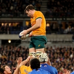 Wallabies Have Not Lost Belief Despite Poor Form, Says Forward Frost