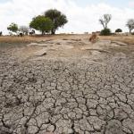 Sri Lanka To Compensate 53,965 Farmers Affected By Drought