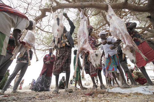 Innovative Ideas Needed To Address Challenges In Asal Areas – Lobby
