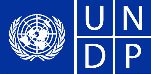 UNDP Hiring Project Associate